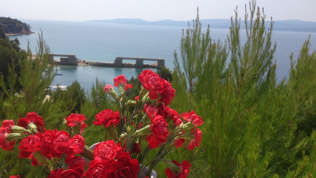Apartmani Sea View Lokva Rogoznica Quarto foto